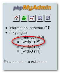 how-do-backup-wordpress-database-2