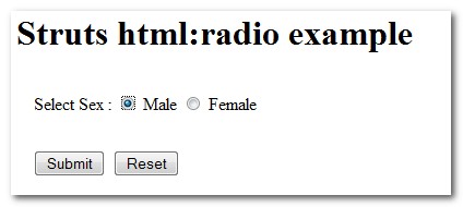 Struts-radio-example1 Struts-radio-example1