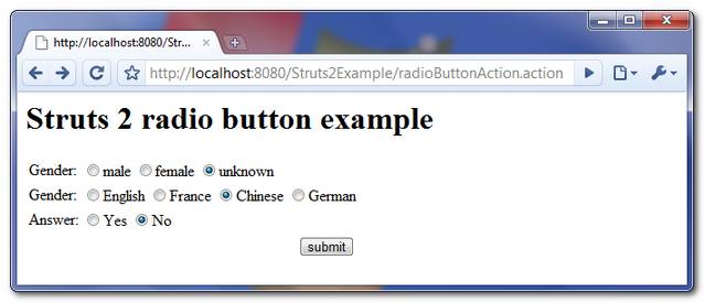 struts2-radio-button-example-1 Struts2 radio button screen