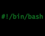 bash-console