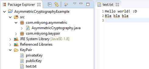 java-asymmetric-cryptography-7b