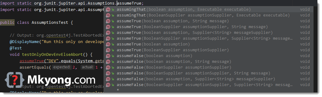 JUnit 5 assumptions